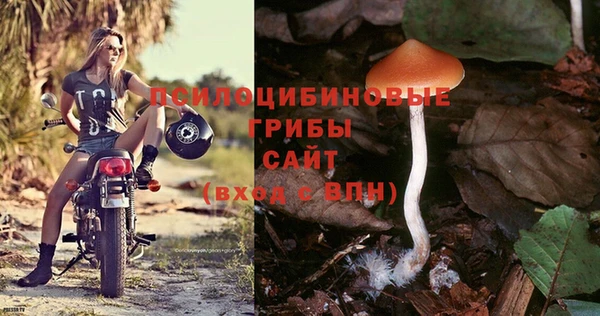амф Майский