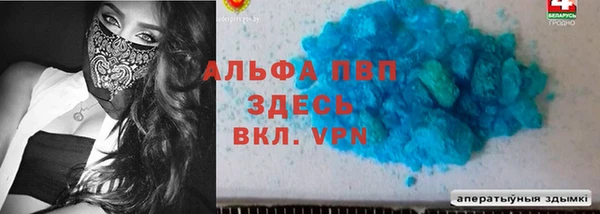 гидра Магас