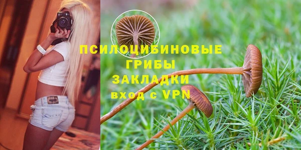 гидра Магас