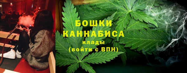 гидра Магас