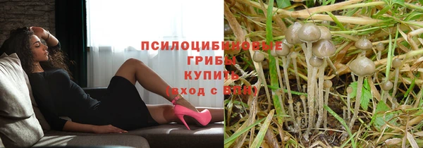 гидра Магас